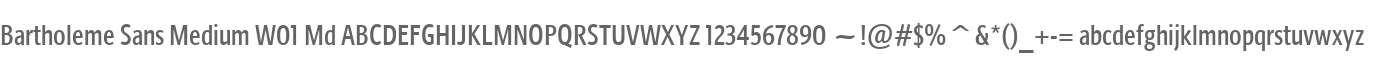 Bartholeme Sans Medium W01 Md
