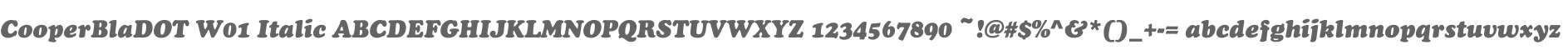 CooperBlaDOT W01 Italic