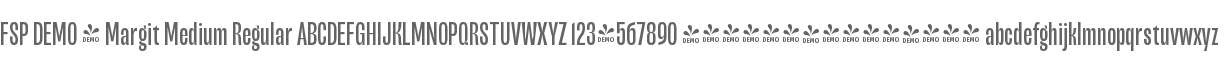 FSP DEMO - Margit Medium