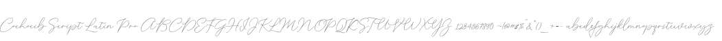 Cochocib Script Latin Pro