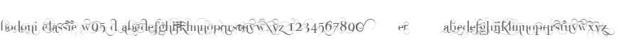Bodoni Classic W95 D