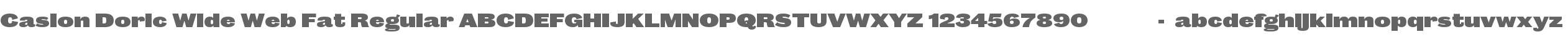 Caslon Doric Wide Web Fat Regular