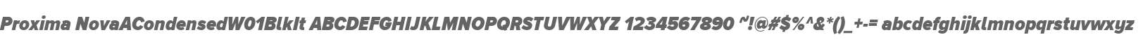Proxima NovaACondensedW01BlkIt