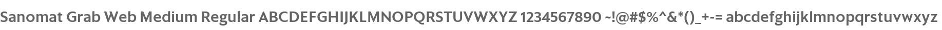 Sanomat Grab Web Medium Regular