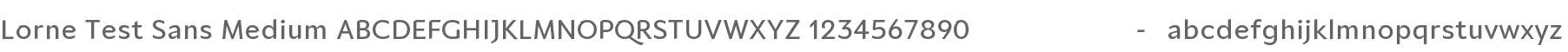 Lorne Test Sans Medium