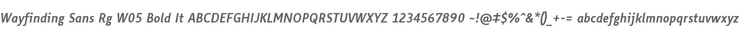 Wayfinding Sans Rg