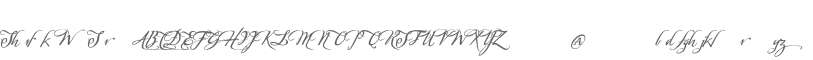 Sherlock W95 Script4