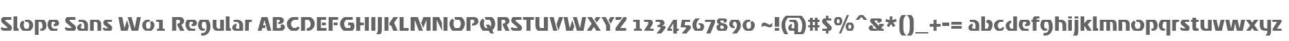 Slope Sans W01 Regular