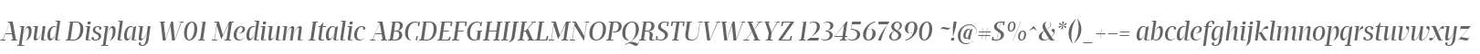 Apud Display W01 Medium Italic