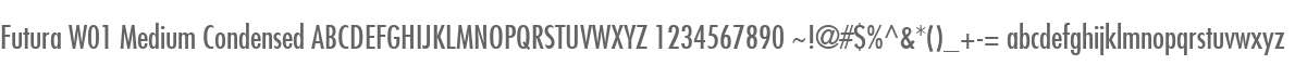 Futura W01 Medium Condensed