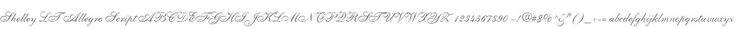 Shelley LT Allegro Script