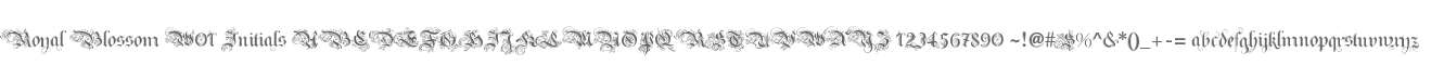 Royal Blossom W01 Initials