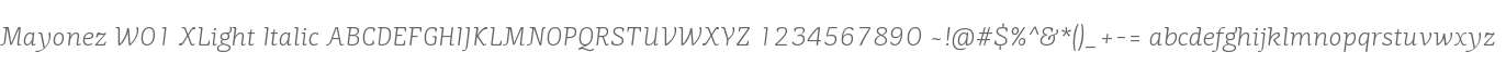Mayonez W01 XLight Italic