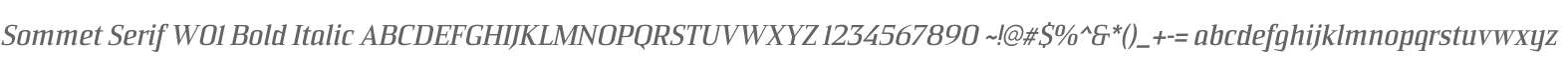 Sommet Serif W01 Bold Italic