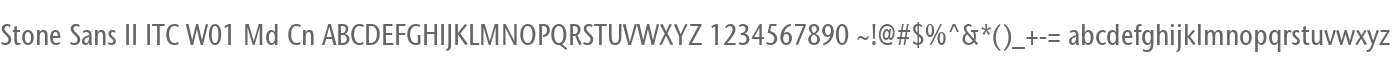 Stone Sans II ITC W01 Md Cn