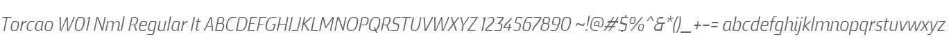 Torcao W01 Nml Regular It