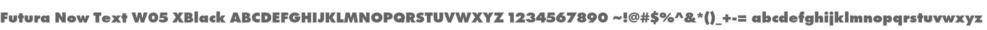 Futura Now Text W05 XBlack
