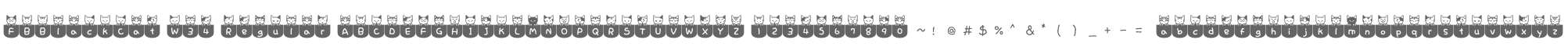 FBBlackCat W34 Regular
