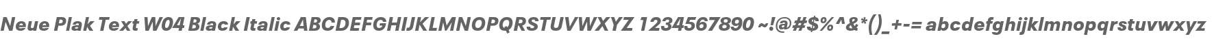 Neue Plak Text W04 Black Italic