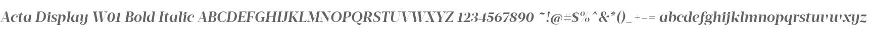 Acta Display W01 Bold Italic