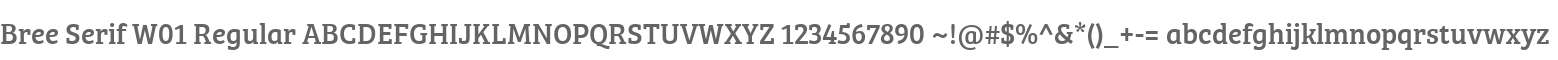 Bree Serif W01 Regular