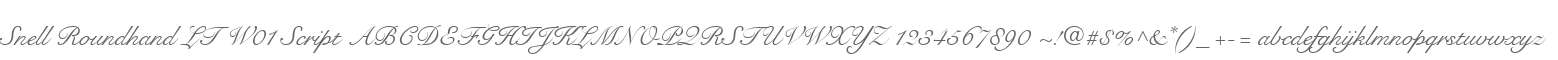 Snell Roundhand LT W01 Script