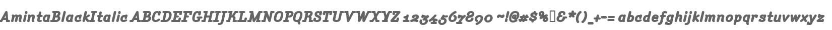 AmintaBlackItalic