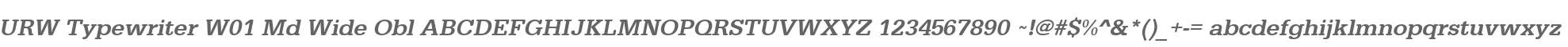 URW Typewriter W01 Md Wide Obl