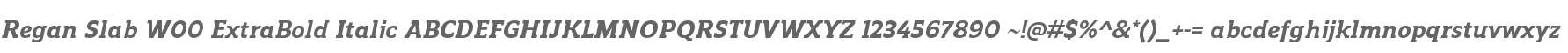 Regan Slab W00 ExtraBold Italic