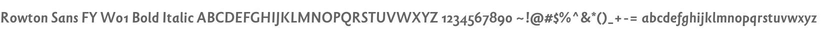 Rowton Sans FY W01 Bold Italic
