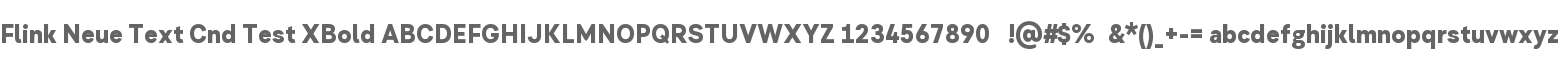 Flink Neue Text Cnd Test XBold