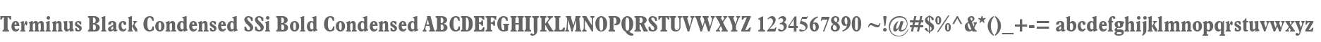 Terminus Black Condensed SSi Bold Condensed