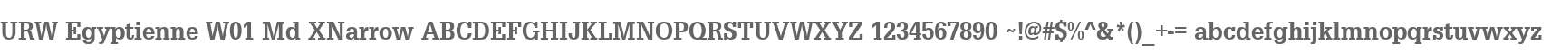 URW Egyptienne W01 Md XNarrow