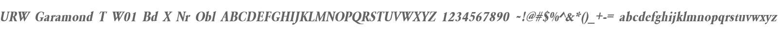 URW Garamond T W01 Bd X Nr Obl