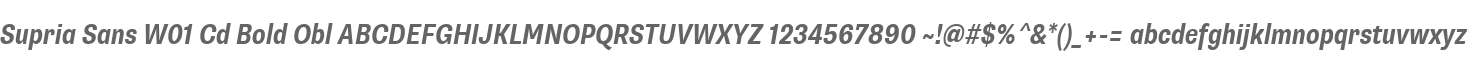 Supria Sans W01 Cd Bold Obl