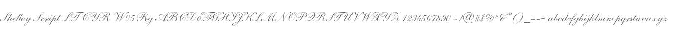 Shelley Script LT CYR W05 Rg