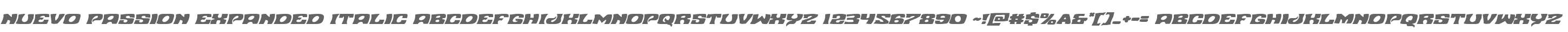 Nuevo Passion Expanded Italic