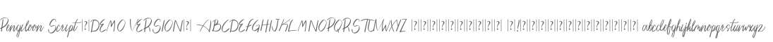 Pengiloon Script (DEMO VERSION)