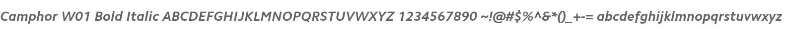 Camphor W01 Bold Italic