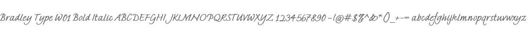 Bradley Type W01 Bold Italic