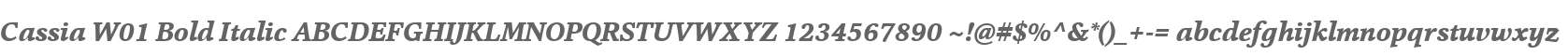 Cassia W01 Bold Italic