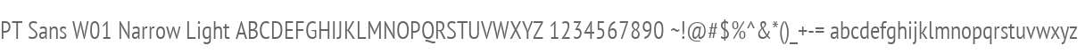 PT Sans W01 Narrow Light