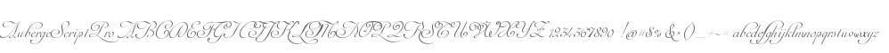 AubergeScriptPro