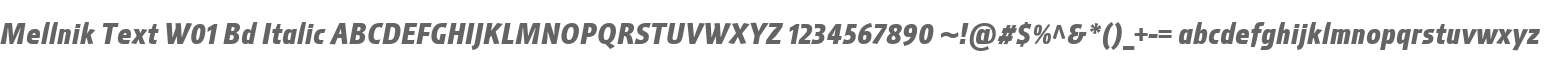Mellnik Text W01 Bd Italic