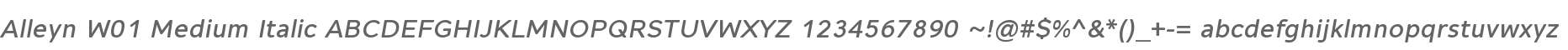 Alleyn W01 Medium Italic