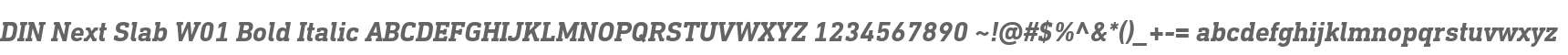 DIN Next Slab W01 Bold Italic