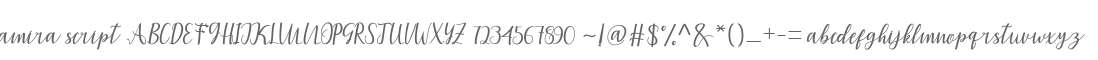 amira script
