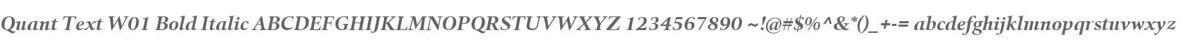 Quant Text W01 Bold Italic