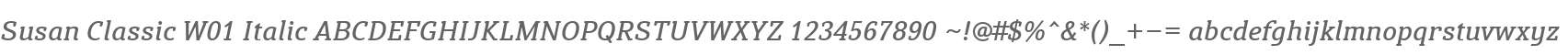 Susan Classic W01 Italic