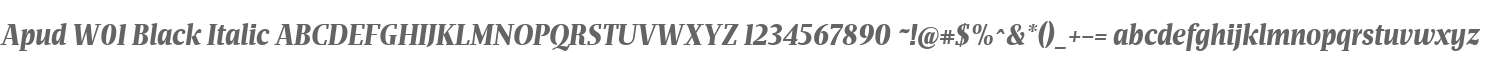 Apud W01 Black Italic